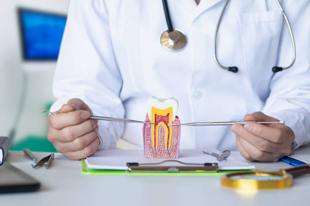 Best Root Canal Emergency Dentist  in Mcconnell Af, KS